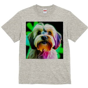 }`[Y TVc fB[X t@  t  vg JWA 킢 lԗp h ̃fUC ʔ Jt }`[Y |bv