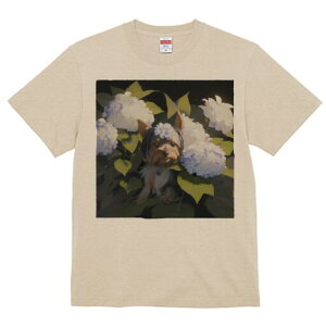 [NV[eA TVc Y LbY t@  t  vg JWA 킢 lԗp h ̃fUC ʔ  [NV[eA AWTC