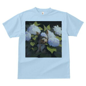 [NV[eA TVc fB[X t@  t  vg JWA 킢 lԗp h ̃fUC ʔ  [NV[eA AWTC