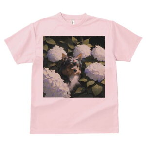 [NV[eA TVc Y LbY t@  t  vg JWA 킢 lԗp h ̃fUC ʔ AWTC [NV[eA