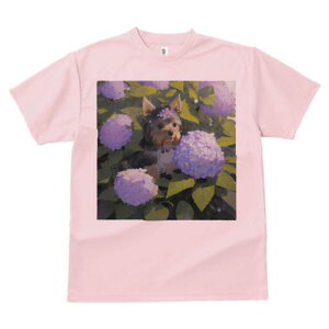 [NV[eA TVc fB[X t@  t  vg JWA 킢 lԗp h ̃fUC ʔ AWTC [NV[eA  A