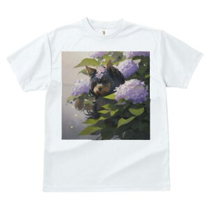 [NV[eA TVc fB[X t@  t  vg JWA 킢 lԗp h ̃fUC ʔ AWTC [NV[eA 