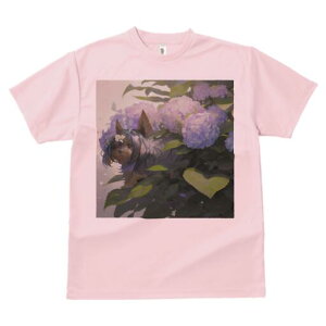 [NV[eA TVc fB[X t@  t  vg JWA 킢 lԗp h ̃fUC ʔ AWTC [NV[eA 