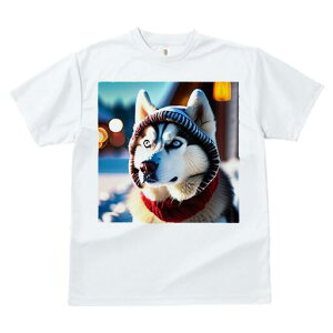 VxAnXL[ TVc fB[X t@  t  vg JWA 킢 lԗp h ̃fUC ʔ Xq VxAnXL[ XJ[t ~ 