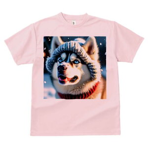 VxAnXL[ TVc fB[X t@  t  vg JWA 킢 lԗp h ̃fUC ʔ Xq VxAnXL[  ~ XJ[t