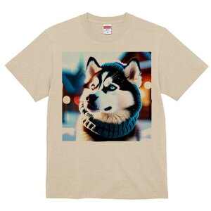 VxAnXL[ TVc fB[X t@  t  vg JWA 킢 lԗp h ̃fUC ʔ jbgX VxAnXL[ }t[ ~ 