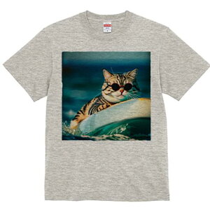 TVc fB[X t@  t  vg JWA 킢 lԗp h ̃fUC ʔ TOX C T[tB