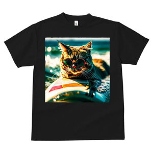 TVc fB[X t@  t  vg JWA 킢 lԗp h ̃fUC ʔ TOX T[t{[h C