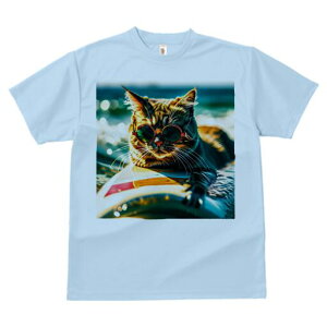 TVc fB[X t@  t  vg JWA 킢 lԗp h ̃fUC ʔ TOX T[t{[h C