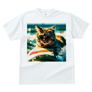 TVc fB[X t@  t  vg JWA 킢 lԗp h ̃fUC ʔ TOX T[t{[h C