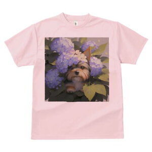 [NV[eA TVc fB[X t@  t  vg JWA 킢 lԗp h ̃fUC ʔ  [NV[eA AWTC