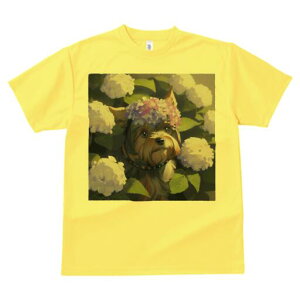 [NV[eA TVc Y LbY t@  t  vg JWA 킢 lԗp h ̃fUC ʔ  [NV[eA AWTC