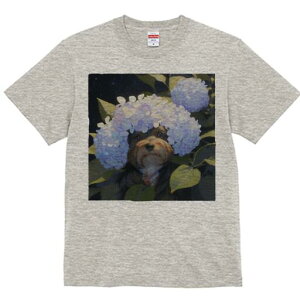 [NV[eA TVc Y LbY t@  t  vg JWA 킢 lԗp h ̃fUC ʔ AWTC [NV[eA 