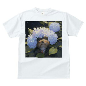 [NV[eA TVc fB[X t@  t  vg JWA 킢 lԗp h ̃fUC ʔ AWTC [NV[eA 