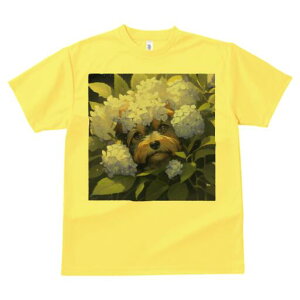 [NV[eA TVc fB[X t@  t  vg JWA 킢 lԗp h ̃fUC ʔ  [NV[eA AWTC