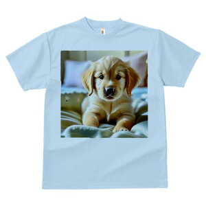 S[fgo[ TVc fB[X t@  t  vg JWA 킢 lԗp h ̃fUC ʔ q S[fgo[ 킢 ybg ѕz