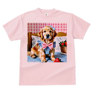 S[fgo[ TVc fB[X t@  t  vg JWA 킢 lԗp h ̃fUC ʔ  S[fgo[ MK`FbN 