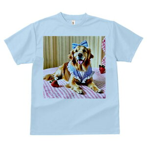 S[fgo[ TVc fB[X t@  t  vg JWA 킢 lԗp h ̃fUC ʔ { S[fgo[  `FbN