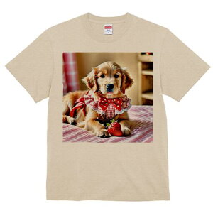 S[fgo[ TVc fB[X t@  t  vg JWA 킢 lԗp h ̃fUC ʔ  S[fgo[ { `FbN