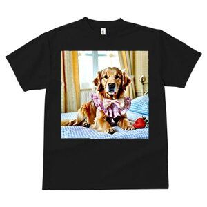 S[fgo[ TVc fB[X t@  t  vg JWA 킢 lԗp h ̃fUC ʔ C`S S[fgo[ xbh