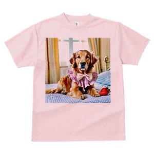 S[fgo[ TVc fB[X t@  t  vg JWA 킢 lԗp h ̃fUC ʔ C`S S[fgo[ xbh