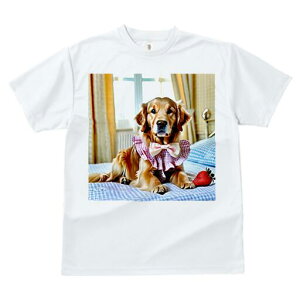 S[fgo[ TVc fB[X t@  t  vg JWA 킢 lԗp h ̃fUC ʔ C`S S[fgo[ xbh