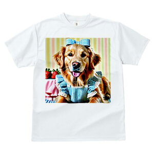 S[fgo[ TVc fB[X t@  t  vg JWA 킢 lԗp h ̃fUC ʔ C`S S[fgo[ { s[X