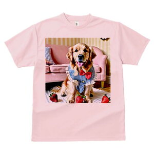 S[fgo[ TVc fB[X t@  t  vg JWA 킢 lԗp h ̃fUC ʔ C`S S[fgo[ \t@ lN^C 