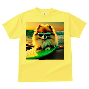 |jA TVc fB[X t@  t  vg JWA 킢 lԗp h ̃fUC ʔ TOX |jA T[t{[h C r[`