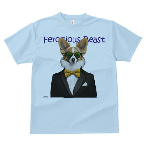 EFVR[M[ TVc fB[X t@  t  vg JWA 킢 lԗp h ̃fUC ʔ lN^C EFVR[M[ X[c ዾ