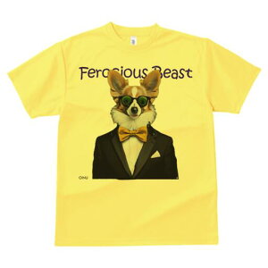 EFVR[M[ TVc fB[X t@  t  vg JWA 킢 lԗp h ̃fUC ʔ lN^C EFVR[M[ X[c ዾ