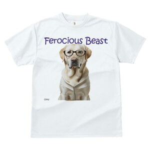 uh[go[ TVc Y LbY t@  t  vg JWA 킢 lԗp h ̃fUC ʔ Kl uh[go[ p[J[