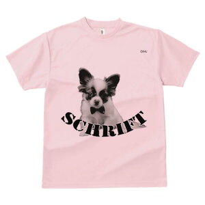 ` TVc fB[X t@  t  vg JWA 킢 lԗp h ̃fUC ʔ lN^C `