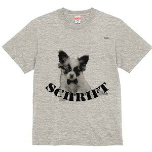 ` TVc fB[X t@  t  vg JWA 킢 lԗp h ̃fUC ʔ lN^C `