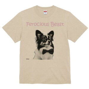 ` TVc fB[X t@  t  vg JWA 킢 lԗp h ̃fUC ʔ lN^C `