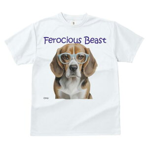 r[O TVc Y LbY t@  t  vg JWA 킢 lԗp h ̃fUC ʔ Kl r[O