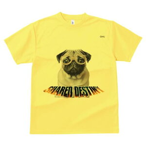 pO TVc fB[X t@  t  vg JWA 킢 lԗp h ̃fUC ʔ Kl pO