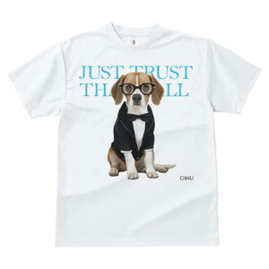 r[O TVc fB[X t@  t  vg JWA 킢 lԗp h ̃fUC ʔ lN^C r[O X[c ዾ