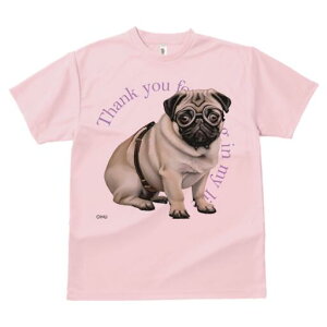 pO TVc fB[X t@  t  vg JWA 킢 lԗp h ̃fUC ʔ Kl pO n[lX