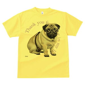 pO TVc fB[X t@  t  vg JWA 킢 lԗp h ̃fUC ʔ Kl pO n[lX