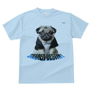 pO TVc Y LbY t@  t  vg JWA 킢 lԗp h ̃fUC ʔ Kl pO X[c