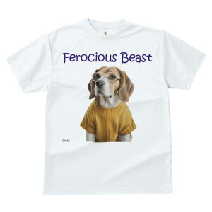 r[O TVc fB[X t@  t  vg JWA 킢 lԗp h ̃fUC ʔ Z[^[ r[O Kl