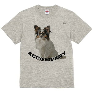 ps TVc fB[X t@  t  vg JWA 킢 lԗp h ̃fUC ʔ Kl ps