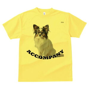 ps TVc fB[X t@  t  vg JWA 킢 lԗp h ̃fUC ʔ Kl ps