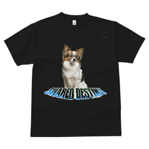 ps TVc Y LbY t@  t  vg JWA 킢 lԗp h ̃fUC ʔ Kl ps