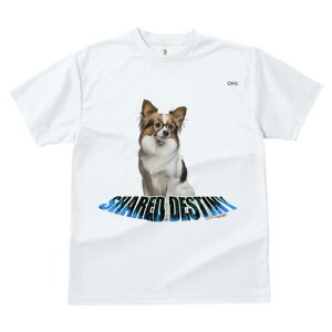 ps TVc Y LbY t@  t  vg JWA 킢 lԗp h ̃fUC ʔ Kl ps