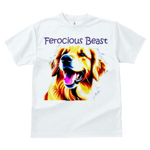 S[fgo[ TVc fB[X t@  t  vg JWA 킢 lԗp h ̃fUC ʔ TVc S[fgo[ 킢 