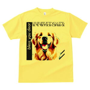 S[fgo[ TVc fB[X t@  t  vg JWA 킢 lԗp h ̃fUC ʔ S[fgo[