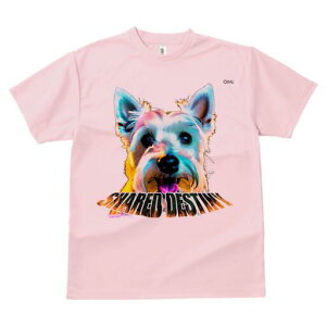 EGXgnChzCgeA TVc fB[X t@  t  vg JWA 킢 lԗp h ̃fUC ʔ EGXgnChzCgeA