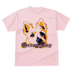 EGXgnChzCgeA TVc fB[X t@  t  vg JWA 킢 lԗp h ̃fUC ʔ EGXgnChzCgeA